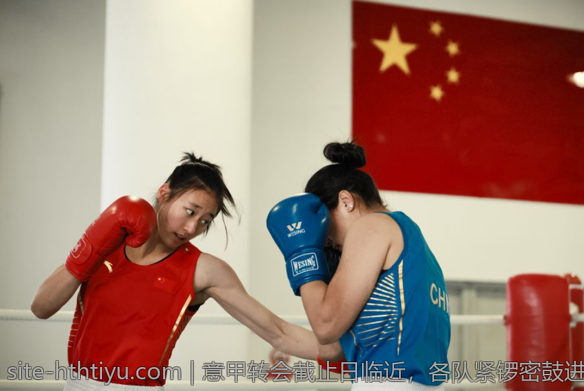 意甲转会截止日临近，各队紧锣密鼓进行最后补强